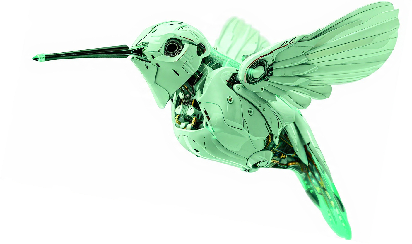 bird